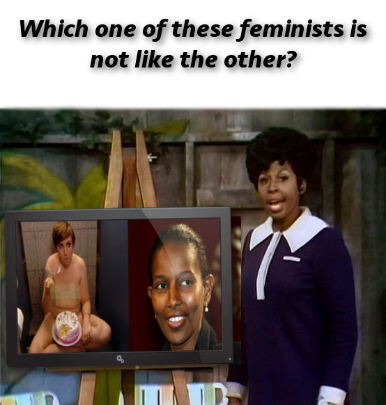 Which One Of These Feminists
